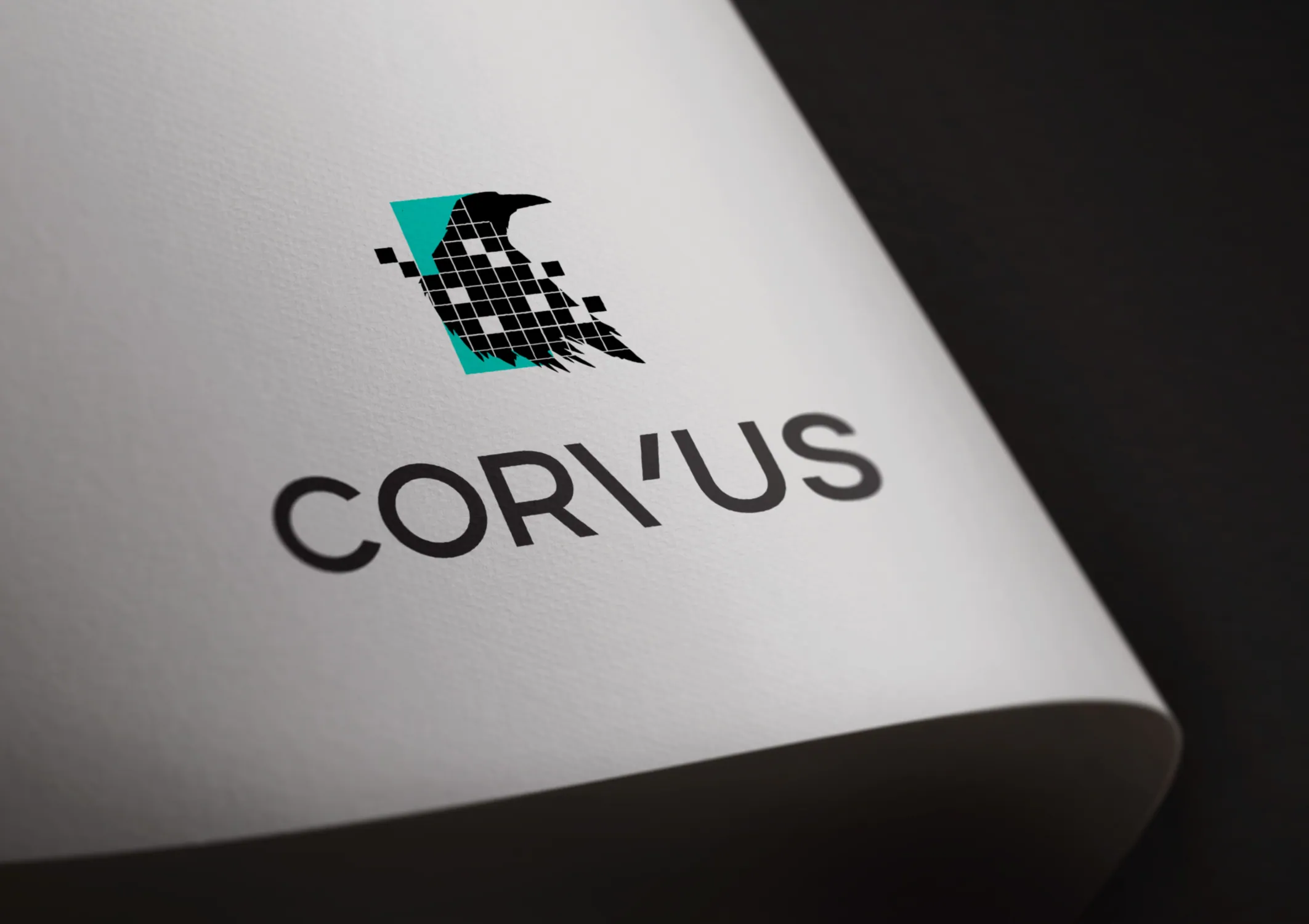 Corvus Property Intelligence brand identity 3